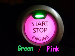 スターターＳＷ　ＪＵＫＥ・ＣＵＢＥ・マーチ・セレナ